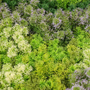 Декоративна плочка СКАНДИНАВСКИ МЪХ микс с акцент лилаво UV 100х100 cm