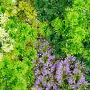 Декоративна плочка СКАНДИНАВСКИ МЪХ микс с акцент лилаво UV 100х100 cm