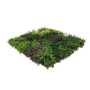 Декоративна плочка ПАПРАТ, ФАЛАРИС с акцент бордо UV 100х100 cm