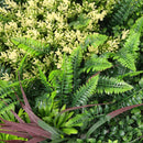 Декоративна плочка ПАПРАТ, ФАЛАРИС с акцент бордо UV 100х100 cm