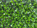 Декоративна ограда Хармоника UV с изкуствени светлозелени листа 1.0х2.0 m
