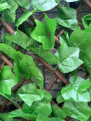 Декоративна ограда Хармоника UV светлозелен БРЪШЛЯН 1.0х2.0 m