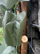 Декоративна ограда Хармоника UV тъмнозелен БРЪШЛЯН 1.0х2.0 m