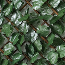 Декоративна ограда Хармоника UV тъмнозелен БРЪШЛЯН 1.0х2.0 m