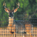 Пластмасова мрежа TENAX C-FLEX H=3.0 м L=100 м