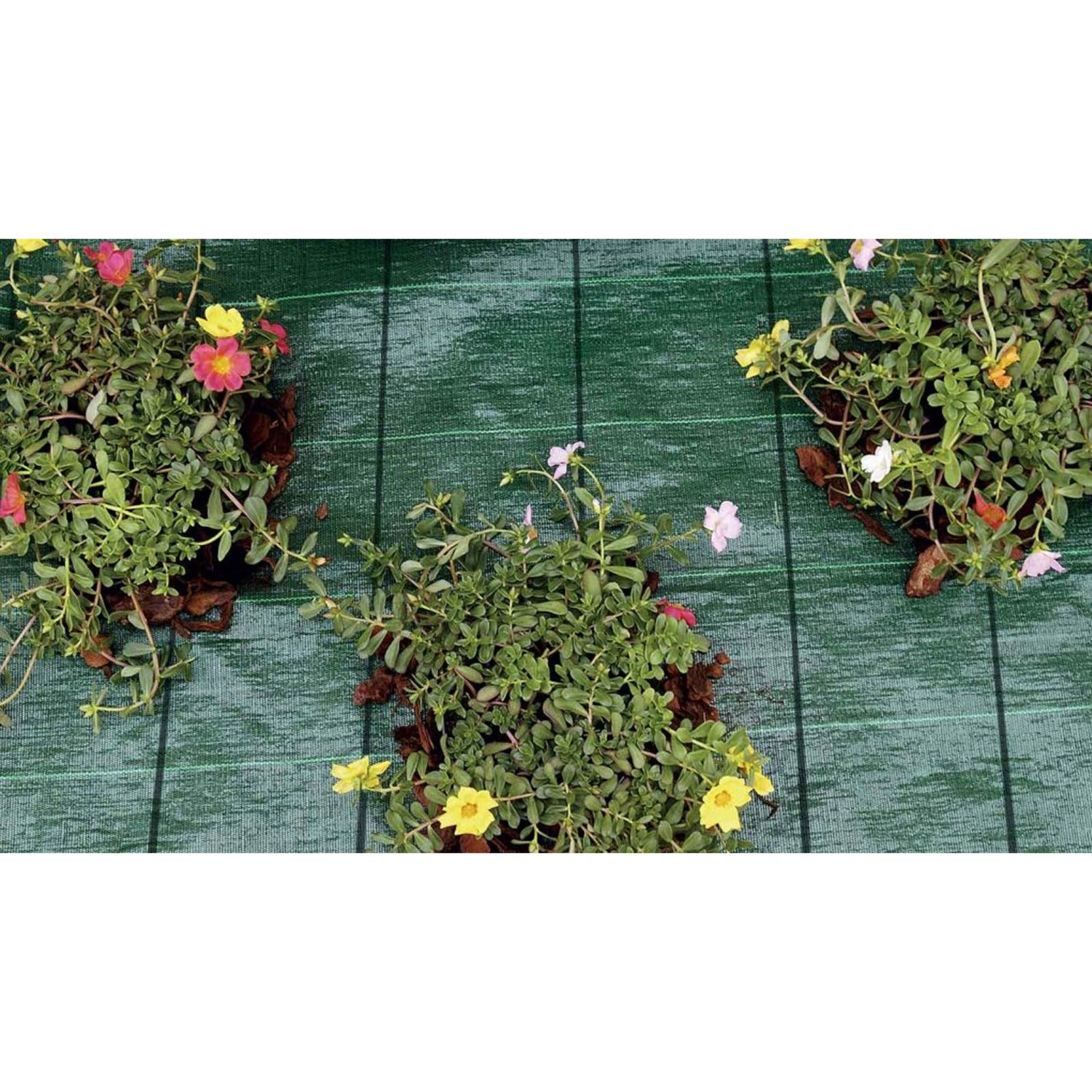 Покривало против плевели TENAX Green Cover, 100% плътност, H=1.05, 1.65 м, L=100 м - Nika.bg