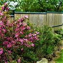 Дървени ламели за ограда Collfort, 95% плътност