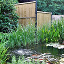 Дървени ламели за ограда Collfort, 95% плътност