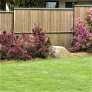 Дървени ламели за ограда Collfort, 95% плътност