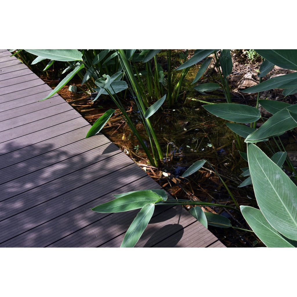 WPC декинг ForestFeel 140x23 mm, L=2.0 м, двулицев, антрацит - Nika.bg