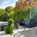 Градинска фигура декоративно куче от ТУЯ UV 60 см