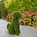 Градинска фигура декоративно куче от ТУЯ UV 60 см