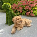 Градинска фигура декоративно куче от ТУЯ UV 60 см