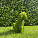 Градинска фигура декоративно куче от ТУЯ UV 60 см