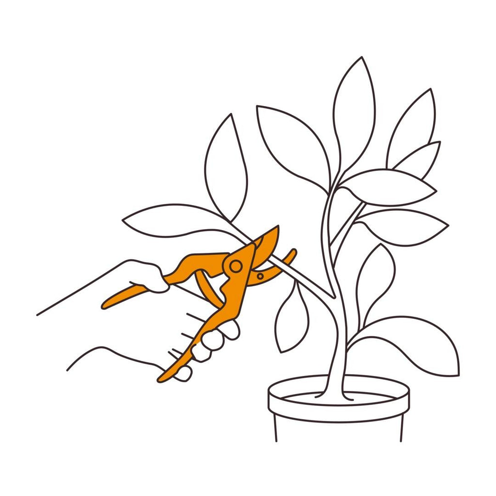 Комплект ножици Fiskars Urban за подрязване и грижа за растения 3 части - Nika.bg