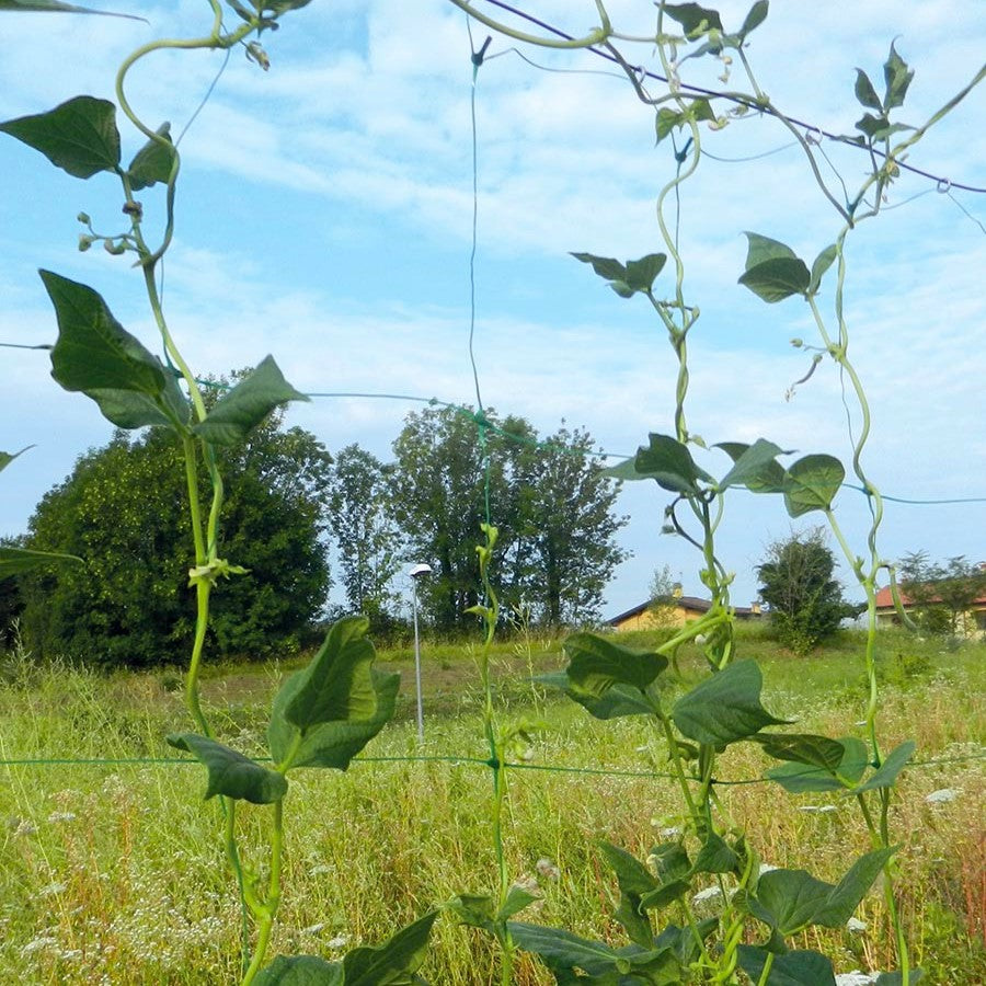 Мрежа за увивни растения TENAX Flora H=1.5 м L=10 м - Nika.bg