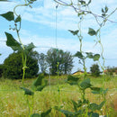 Мрежа за увивни растения TENAX Flora H=1.5 м L=10 м