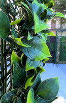 Декоративни плочки ГАРДЕНИЯ UV 4 броя 50x50 cm