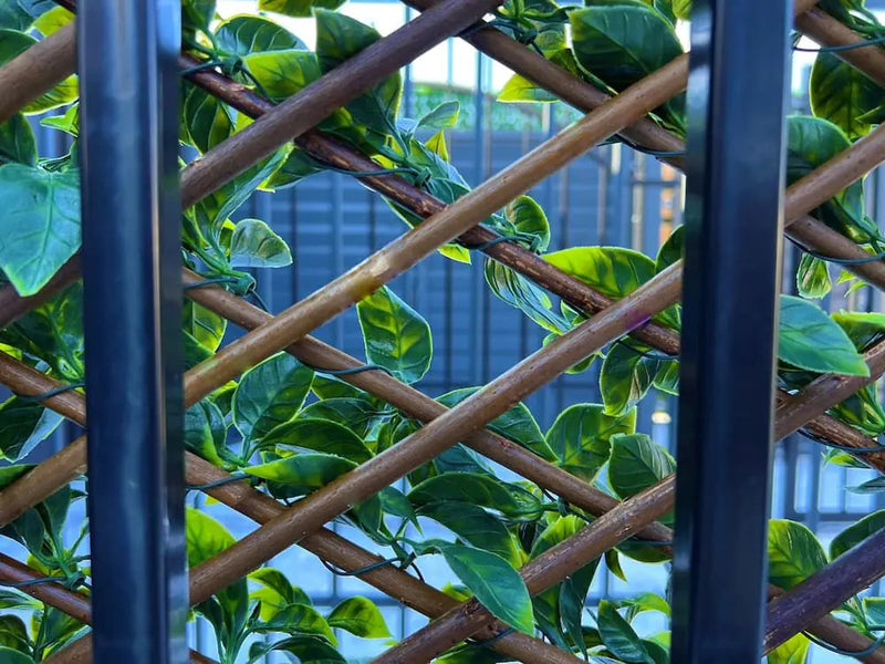 Декоративна ограда Хармоника - Гардения H=1.0 x L=2.0 метра