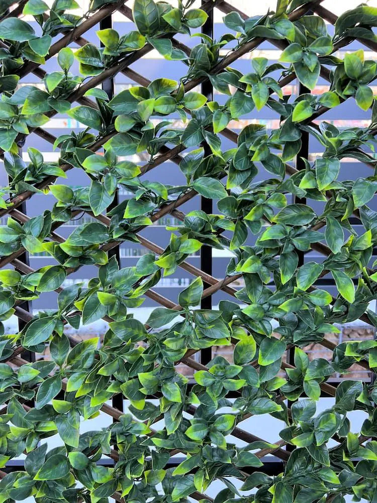 Декоративна ограда Хармоника - Гардения H=1.0 x L=2.0 метра
