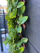 Детайл на декоративна ограда с плътни листа в светлозелен цвят, прикрепени към черна повърхност.