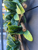 Детайл от декоративна ограда Хармоника с лаврови листа и пръти от естествена върба