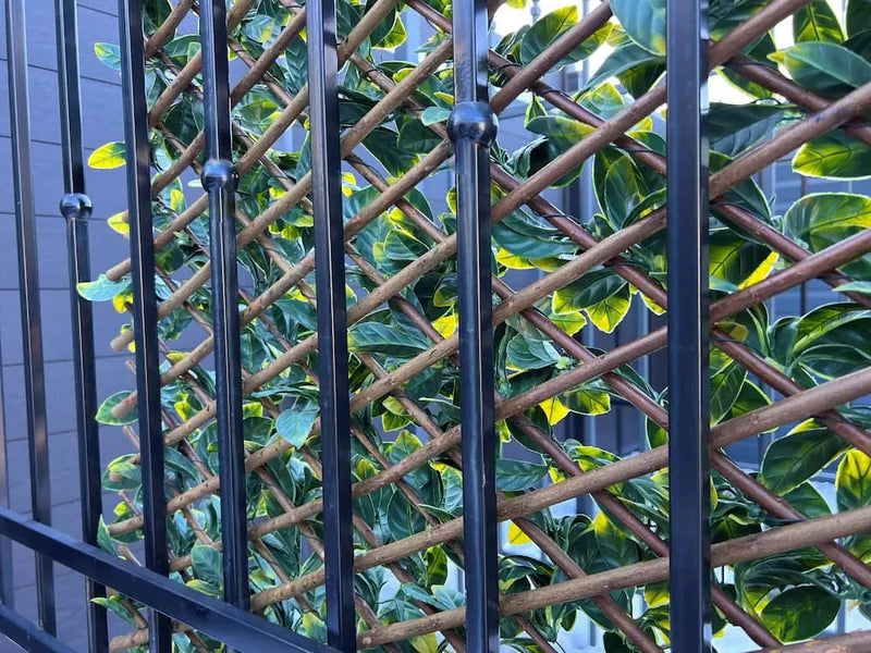 Декоративна ограда Хармоника - Маслина H=1.0 x L=2.0 метра