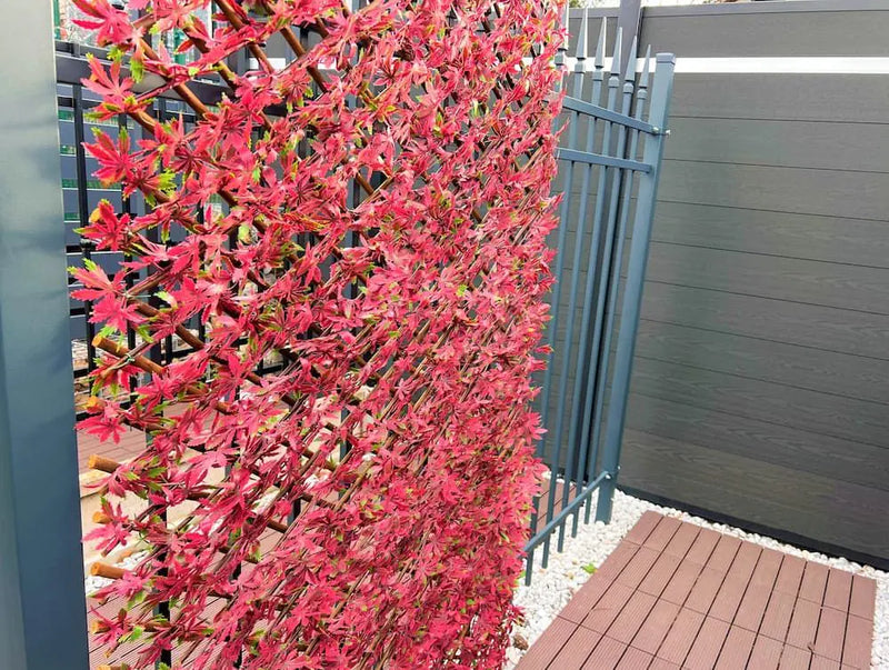 Декоративна ограда Хармоника - Червен японски клен, H=1.0 x L=2.0 метра