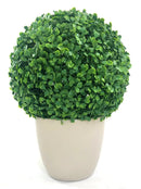 Декоративна топка Чемшир