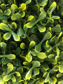 Декоративна топка Камелия