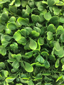 Декоративна топка Чемшир