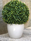 Декоративна топка Камелия