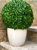 Декоративна топка Чемшир