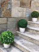 Декоративна топка Чемшир