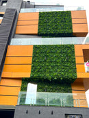 Декоративна плочка ПАПРАТ и БРЪШЛЯН UV 100x100 см.