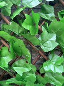 Декоративна ограда Хармоника UV светлозелен БРЪШЛЯН 1.0х2.0 м