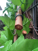 Декоративна ограда Хармоника UV светлозелен БРЪШЛЯН 1.0х2.0 м