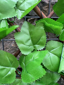 Декоративна ограда Хармоника UV светлозелен БРЪШЛЯН 1.0х2.0 м