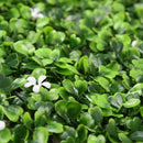 Декоративни плочки ЖАСМИН UV 4 броя 50x50 см.