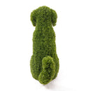 Градинска фигура декоративно куче от ТУЯ UV 60 см