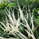 Декоративно кръгло пано за стена ПАПРАТ, ФАЛАРИС с акцент бордо UV Ø50 см.