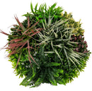 Декоративно кръгло пано за стена ПАПРАТ, ФАЛАРИС с акцент бордо UV Ø50 см.