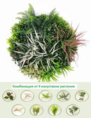 Декоративно кръгло пано за стена ПАПРАТ, ФАЛАРИС с акцент бордо UV Ø50 см.