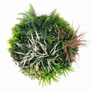 Декоративно кръгло пано за стена ПАПРАТ, ФАЛАРИС с акцент бордо UV Ø50 см.