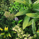 Декоративно квадратно пано за стена ПАПРАТ, ФАЛАРИС, КЛИВИЯ UV 50х50 см.