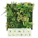 Декоративно квадратно пано за стена ПАПРАТ, ФАЛАРИС, КЛИВИЯ UV 50х50 см.