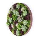 Декоративно кръгло пано за стена скандинавски мъх и сукулентни растения UV Ø50 см.