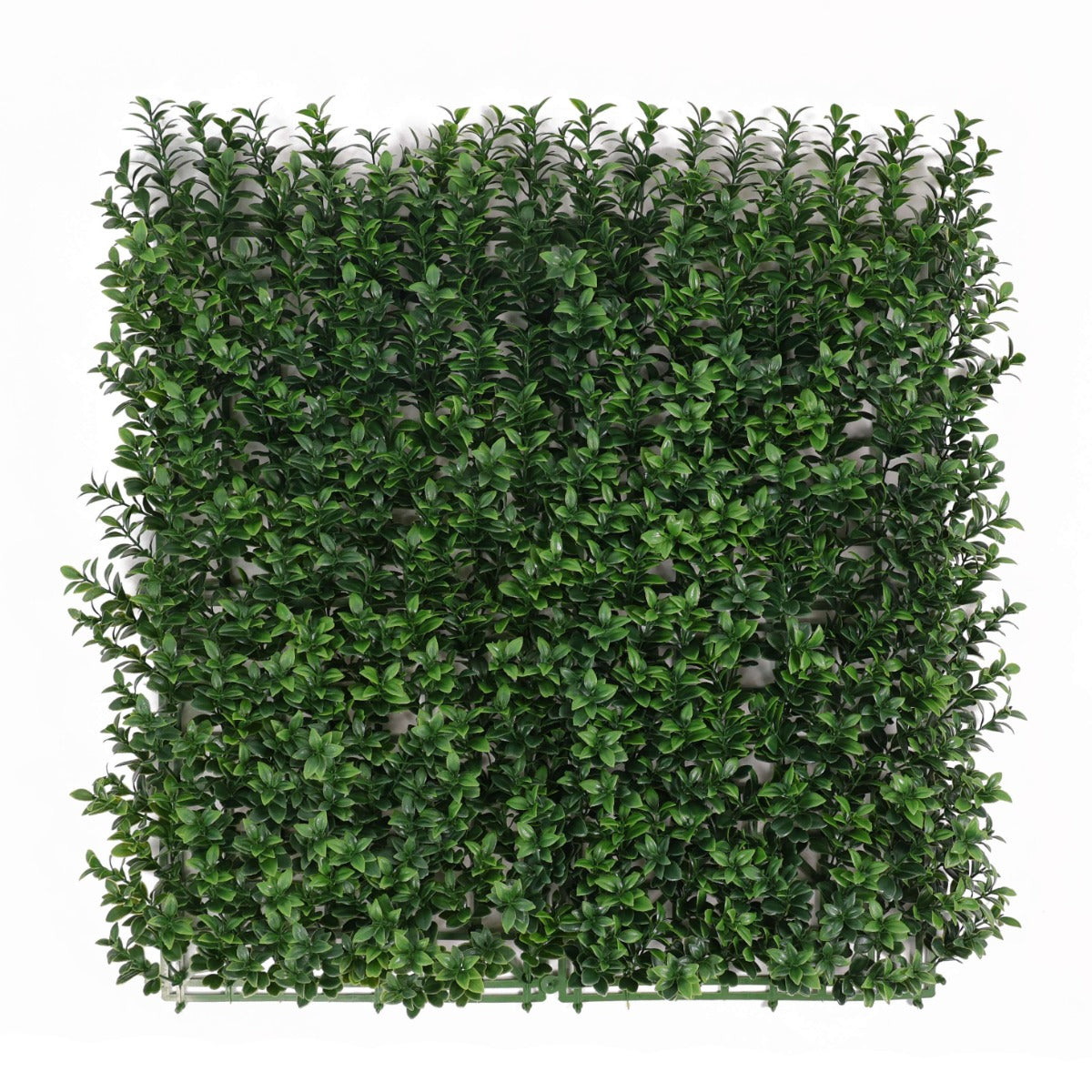 Декоративна плочка ЖИВ ПЛЕТ UV 50x50 см.