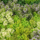 Декоративна плочка СКАНДИНАВСКИ МЪХ микс с акцент лилаво UV 100х100 см.