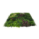 Декоративна плочка ПАПРАТ, ФАЛАРИС с акцент бордо UV 100х100 см.